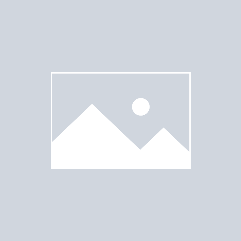Sylvania Franciscan Foundation TEST