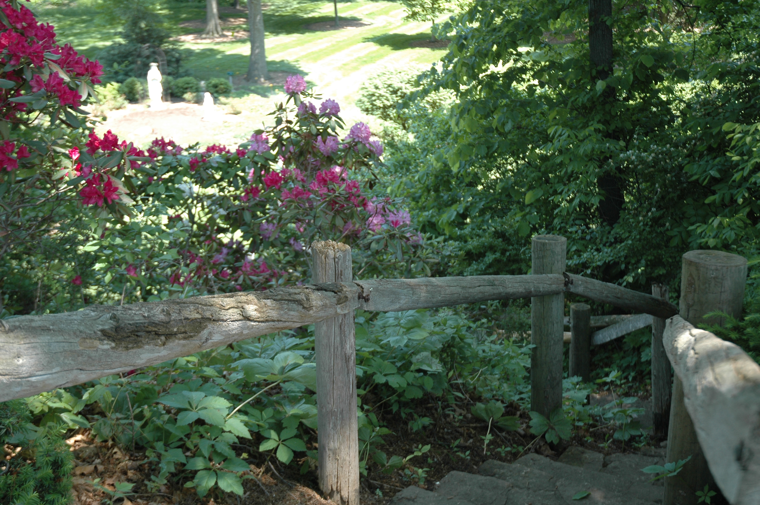 Steps to Prayer Garden