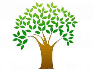 tree-with-leaves-pv