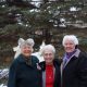 Sister Fidelis Rubbo, Sister Ann Carmen Barone and Sister Magdala Davlin stand in front of Jubilee, the mighty tree