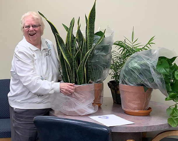 Sister Brenda unwraps office plants-sm
