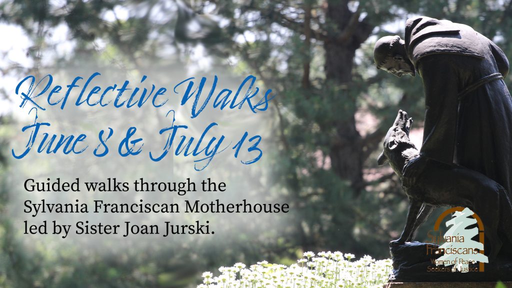 June Walks