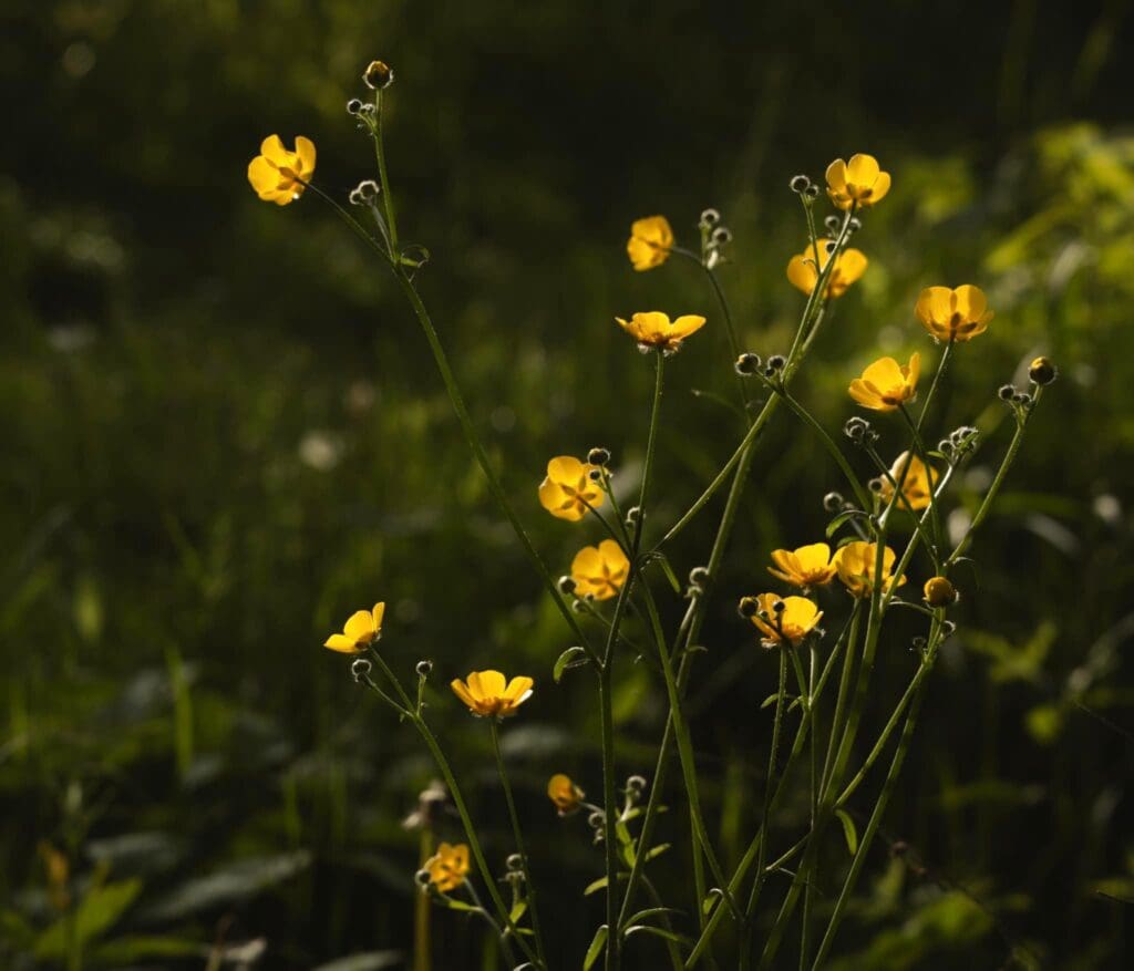 Taking A Closer Look